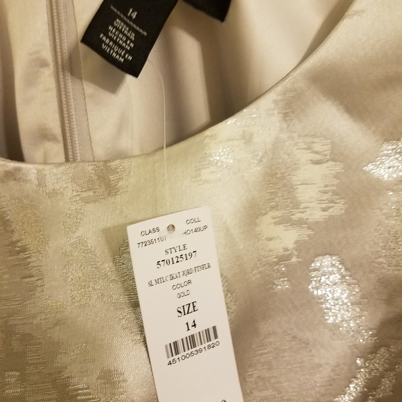 Sleeveless Metallic Jacquard Fit and Flare Dress - Picture 4 of 7